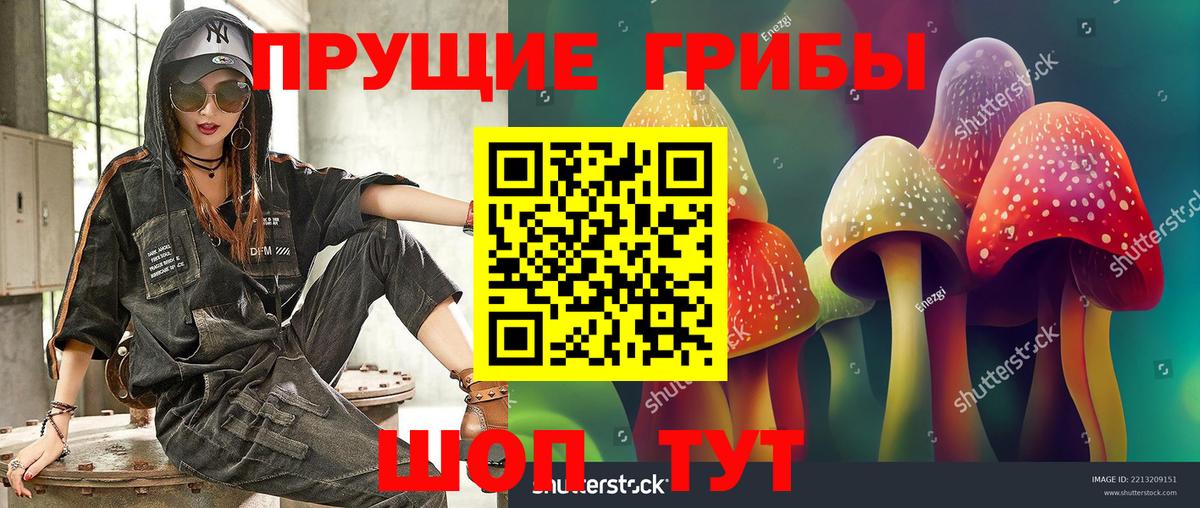 Псилоцибиновые грибы прущие грибы Саров