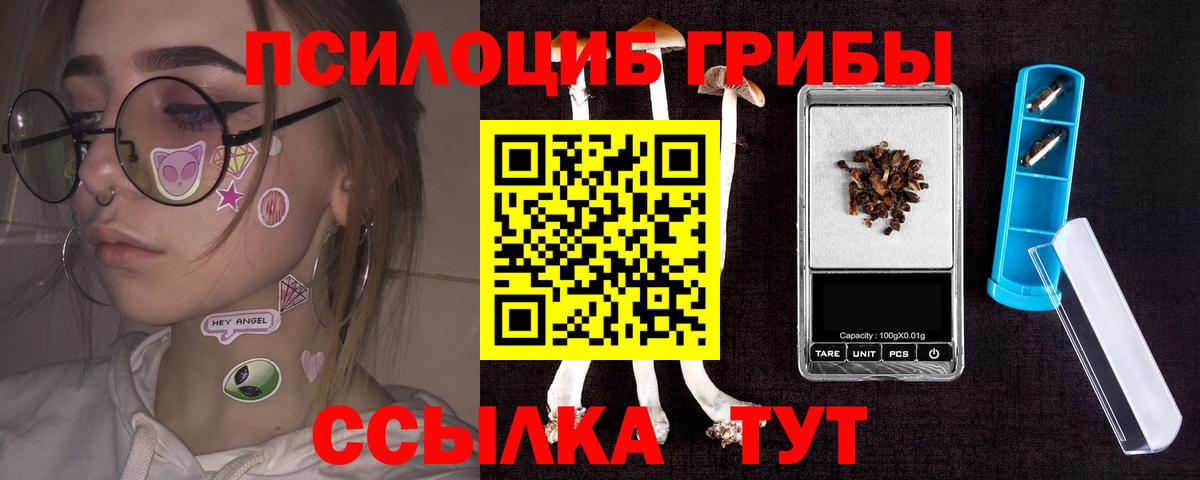 Псилоцибиновые грибы Psilocybine cubensis  Вход с VPN  Саров 